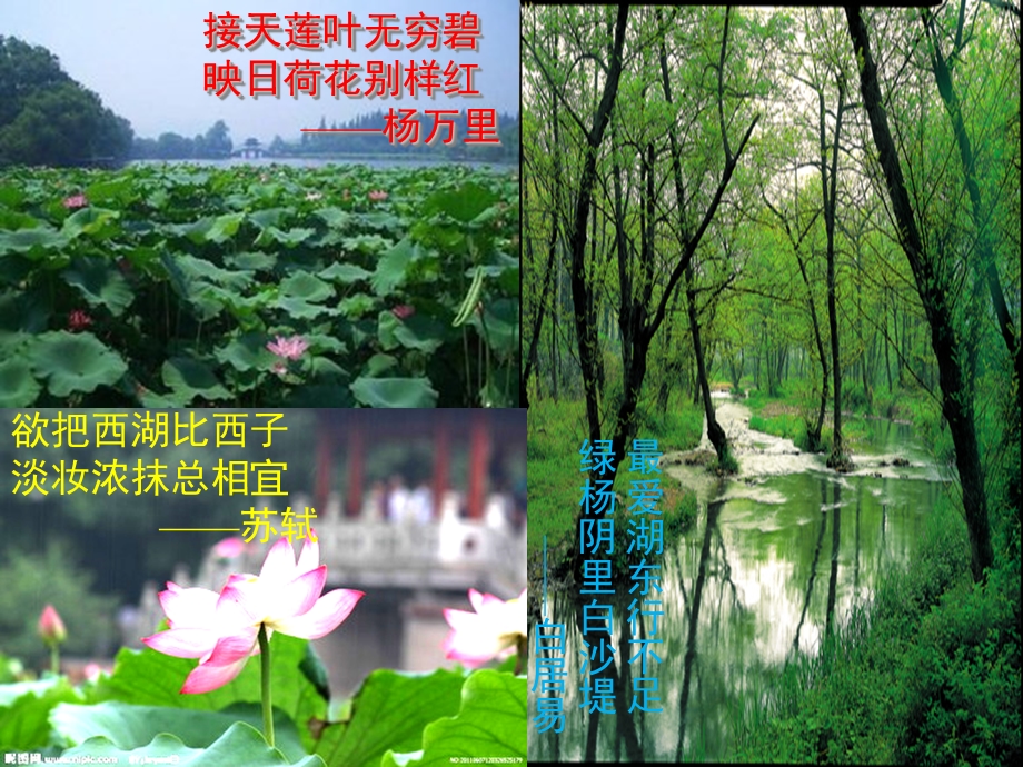 八年级语文《湖心亭看雪》.ppt_第2页