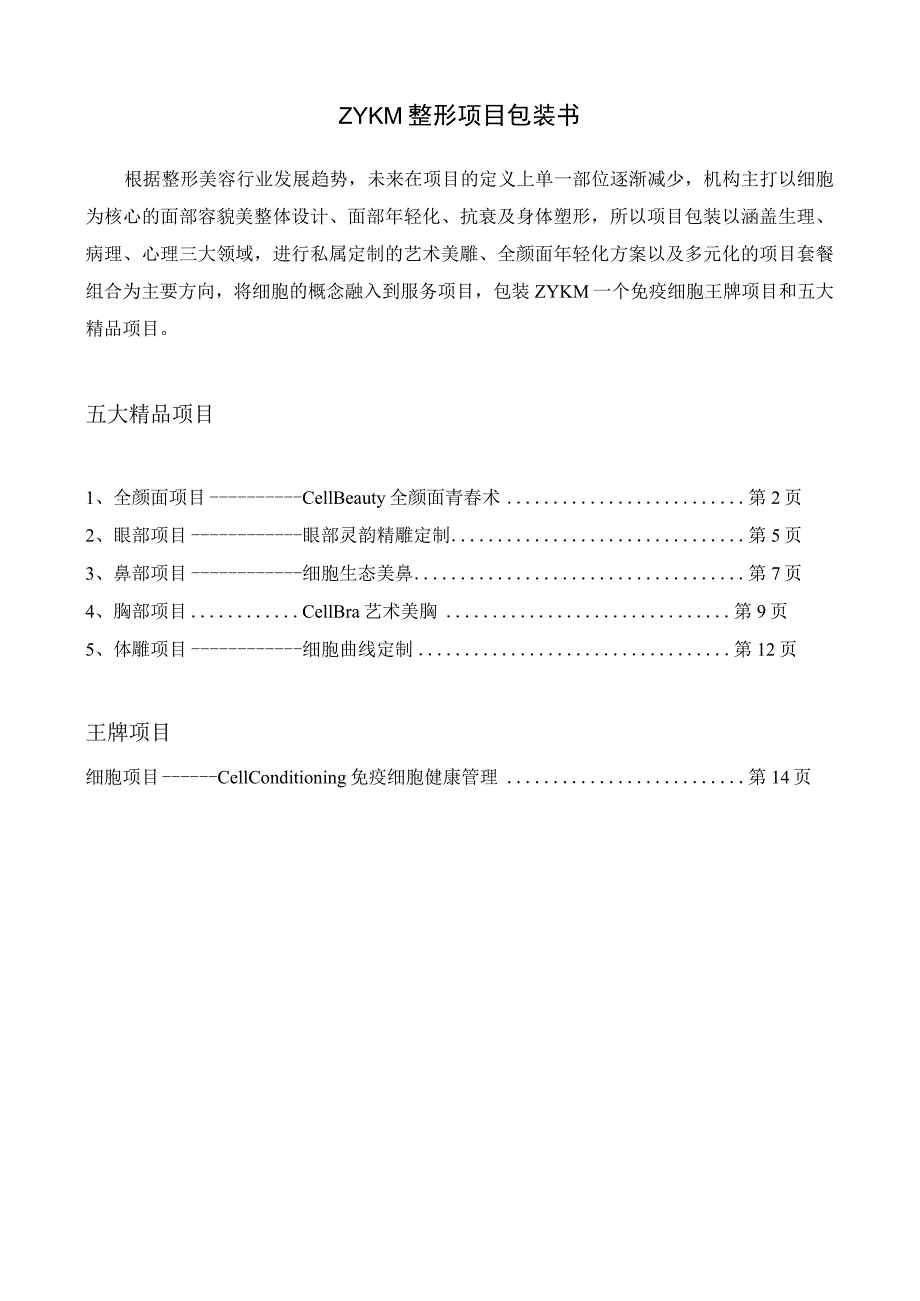 医美整形项目品牌营销包装规划.docx_第1页