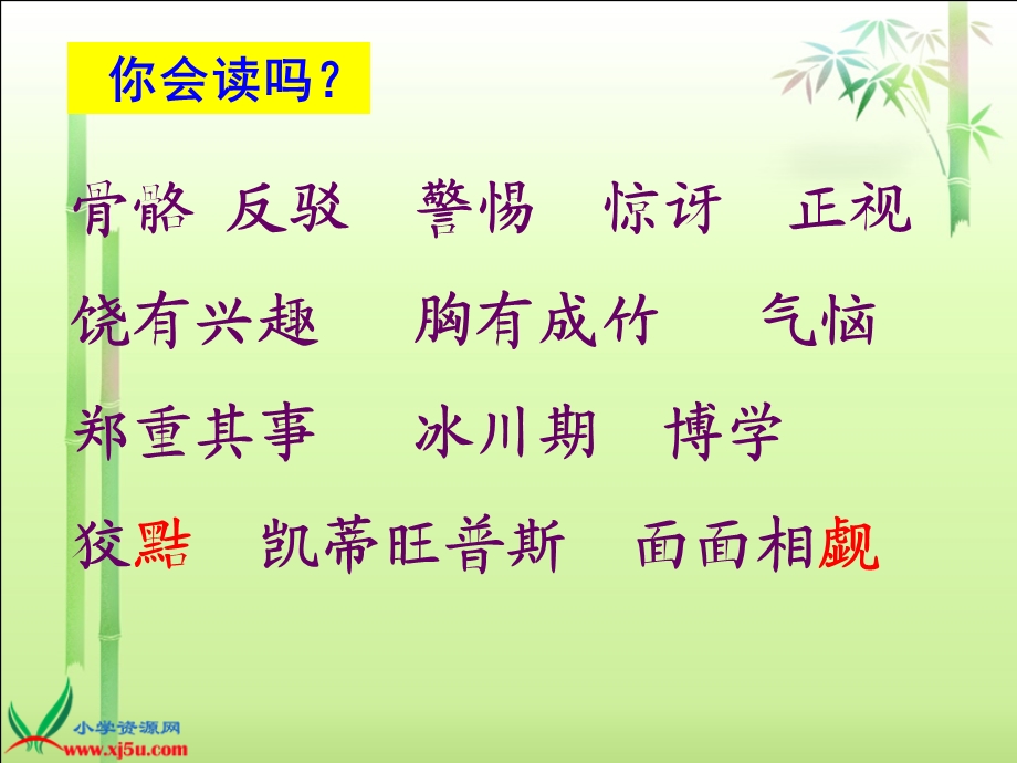 六年级上册《一个这样的老师》.ppt_第3页