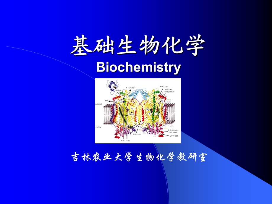 基础生物化学Biochemistry.ppt_第1页