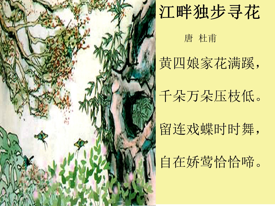 古诗二首江畔独步寻花.ppt_第3页