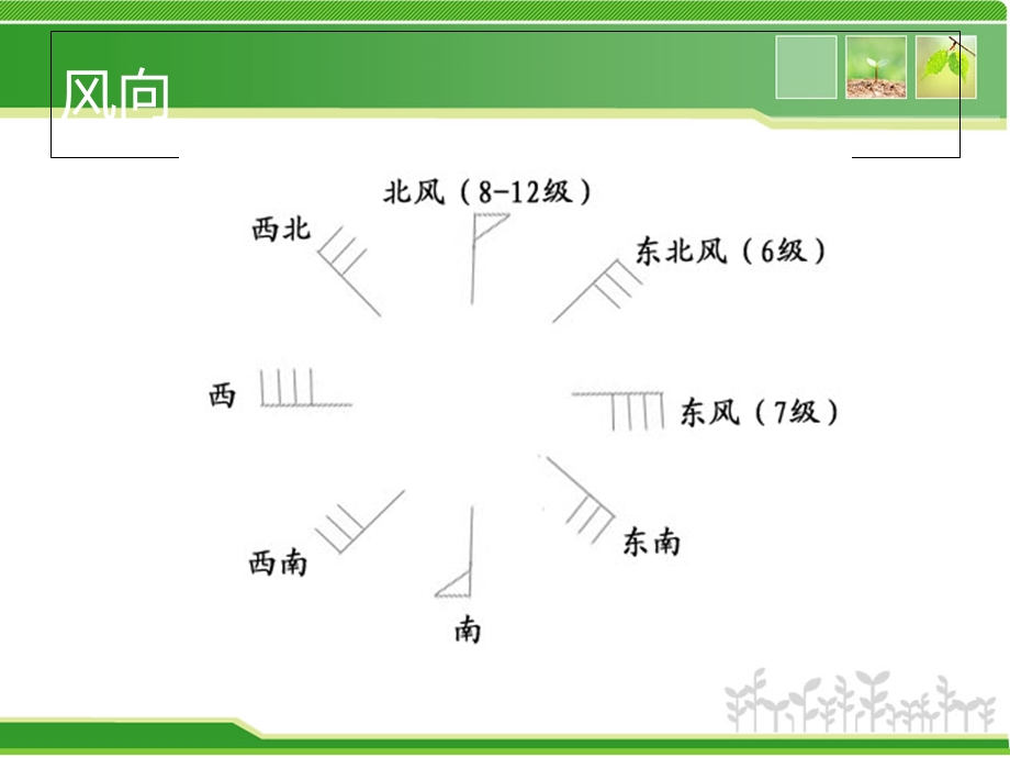 四年级科学风向和风速.ppt_第2页