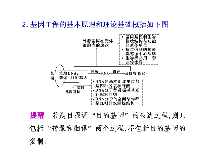 基因工程基本工具和基本操作程序.ppt_第3页