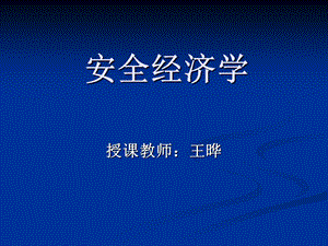 安全经济学第八章.ppt