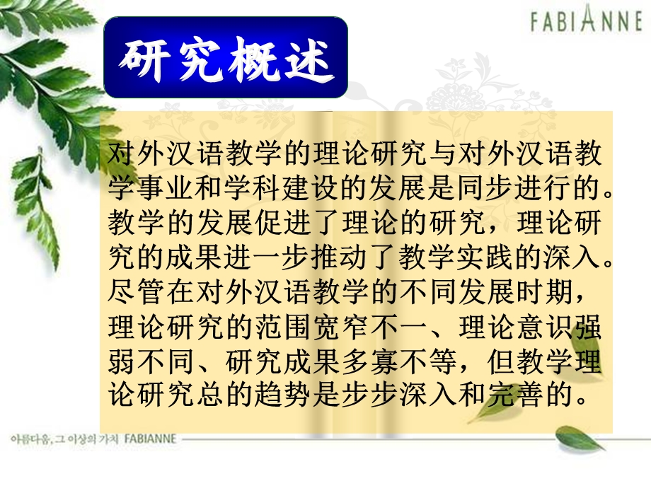 对外汉语教学的基本理论.pptx_第3页