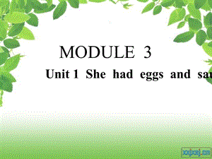 外研版小学英语五年级下册Module3.unit1Shehadeggsandsausag.ppt