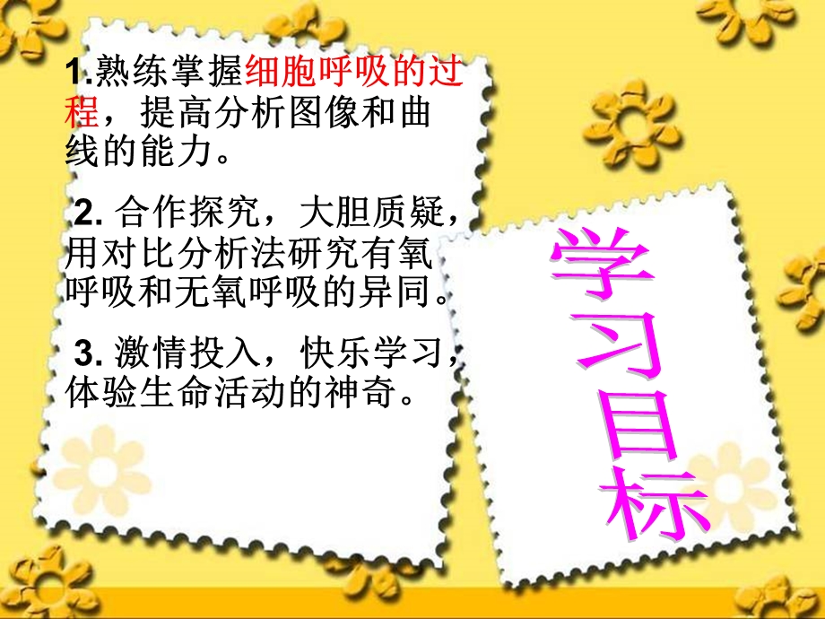 呼吸作用训练学案.ppt_第3页