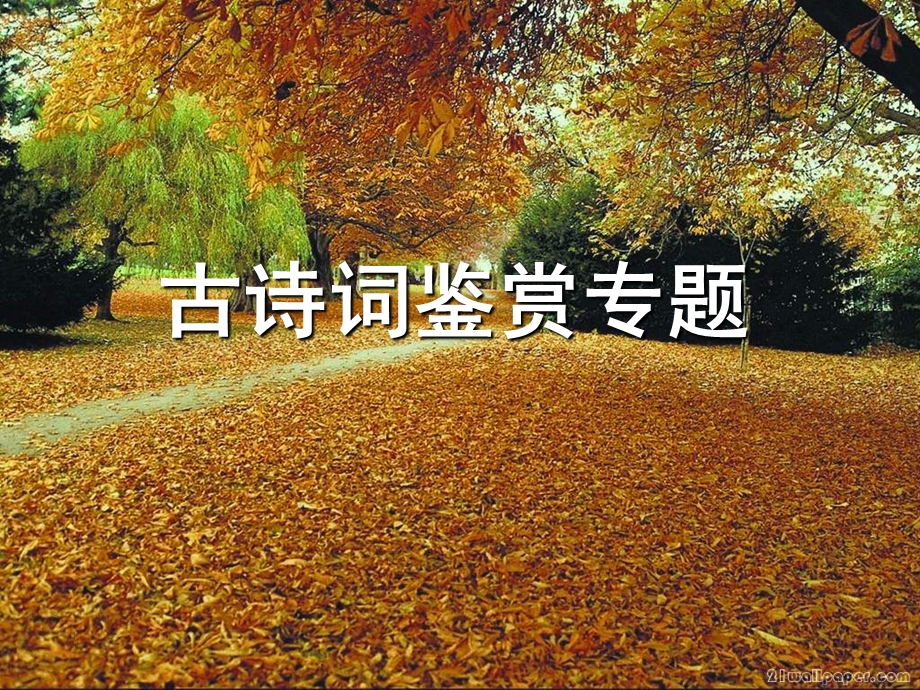 古诗词鉴赏专题温.ppt_第1页