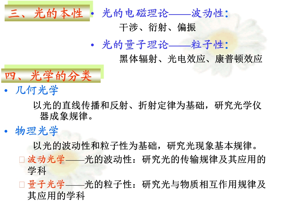 大学物理物理学课件波动光学.ppt_第3页