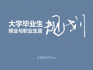 大学毕业生择业与职业生涯规划.ppt