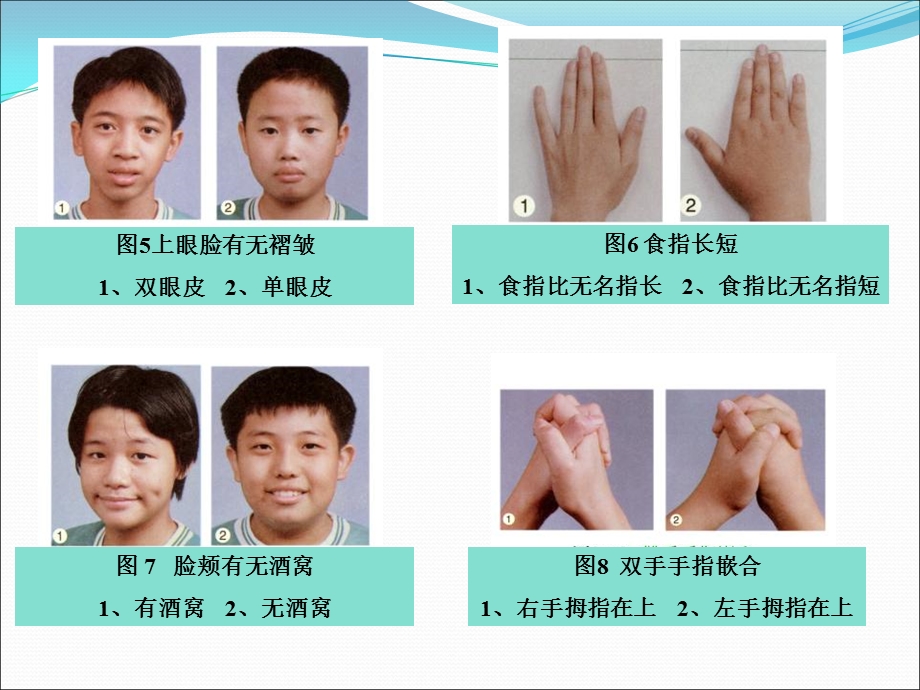 孟德尔的豌豆杂交实验课件(人教版必修II).ppt_第3页