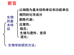 复习第一章细胞的分子组成.ppt