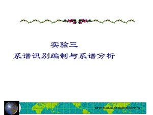 实验三系谱识别编制与系谱分析.ppt