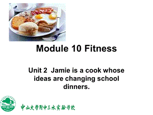 外研版九年级上册 Module 10 Unit 2.ppt