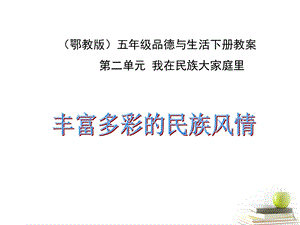 品德与社会下册丰富多彩的民族风情1课件鄂教.ppt