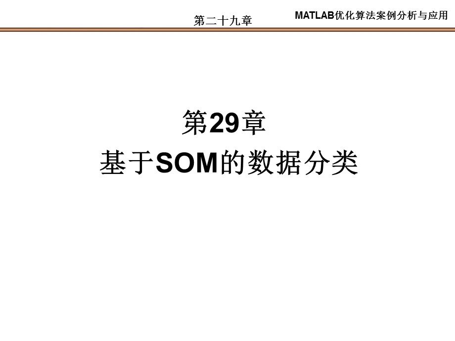 基于SOM的数据分类.ppt_第1页