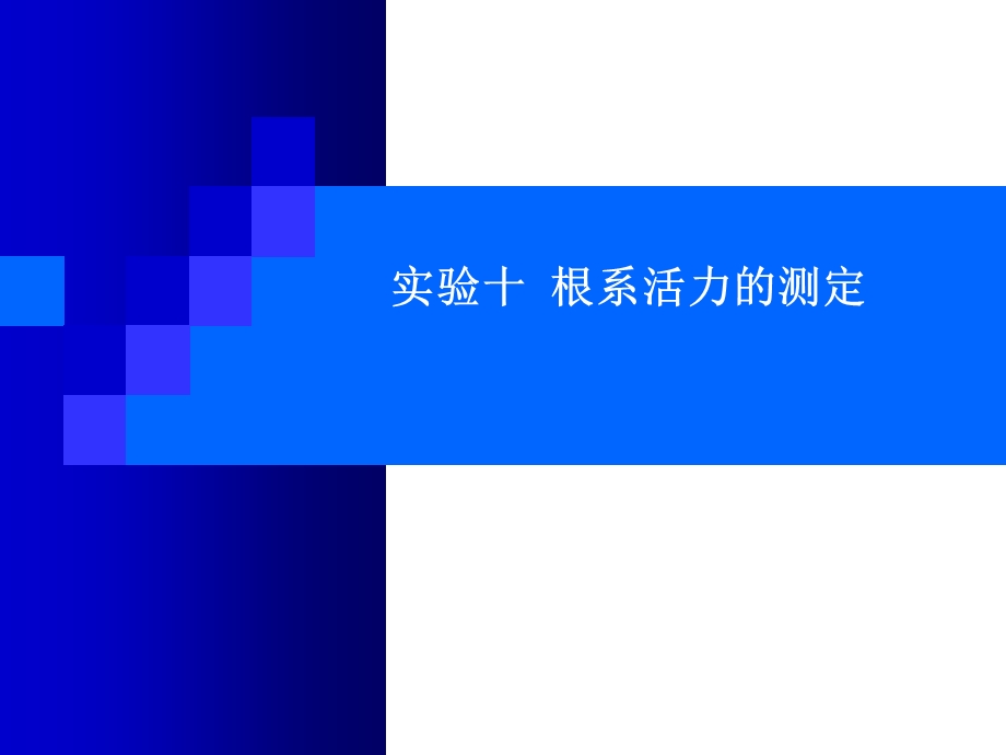 实验十根系活力的测定-α-萘胺氧化法.ppt_第1页