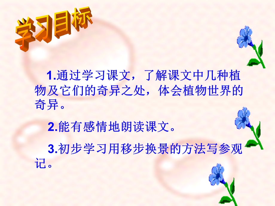 奇异的植物世界参赛.ppt_第3页