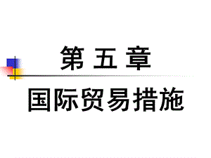 国际贸易措施(讲义).ppt