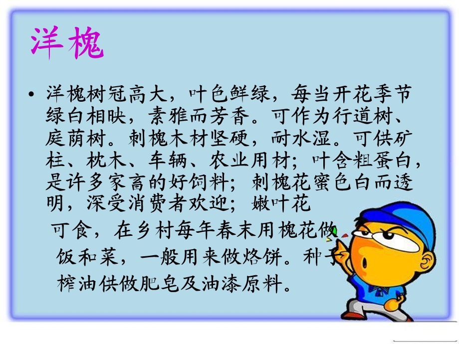 四年级语文下册《1种子》杨秀羽.ppt_第2页