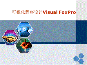 可视化程序设计VisualFoxPro.ppt