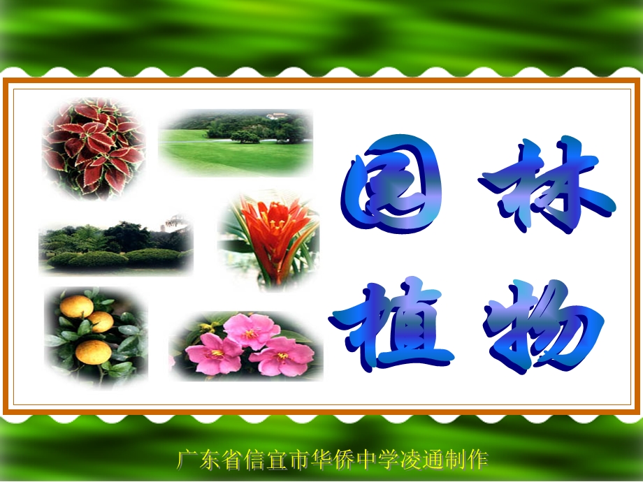 园林植物(选修课)凌通.ppt_第1页