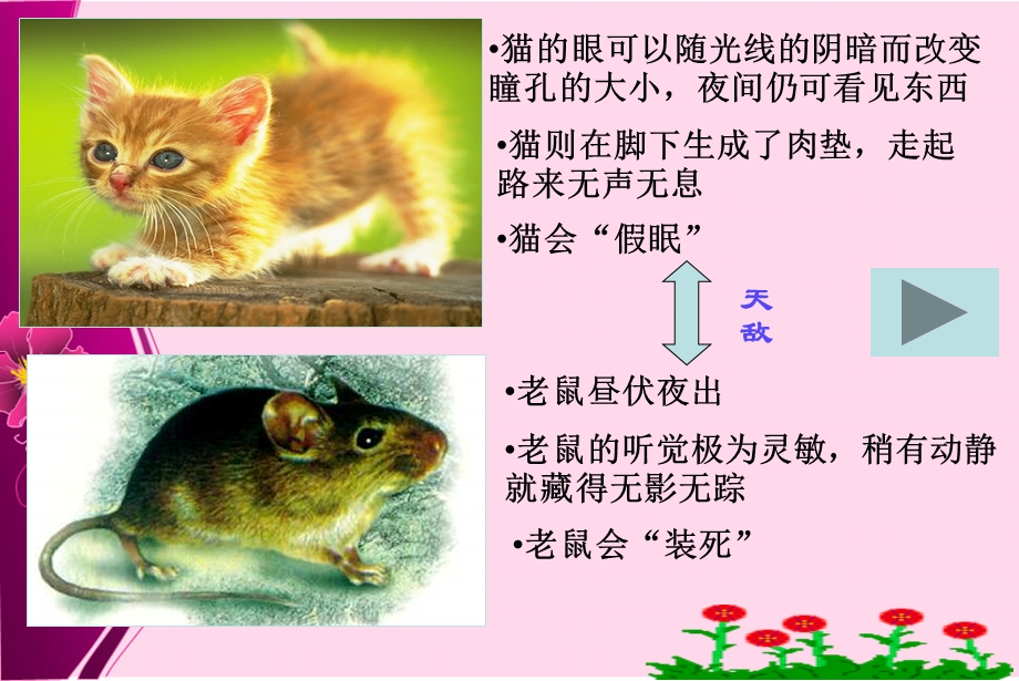 哲学与人生第六课.ppt_第3页