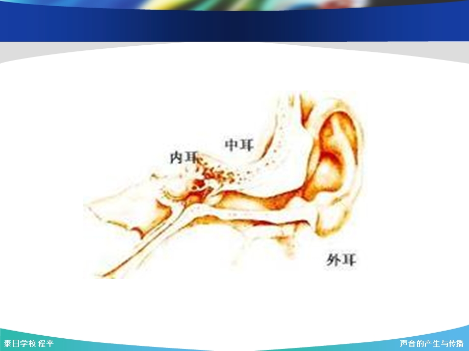 声音的产生与传播泰日学校程平.ppt_第2页