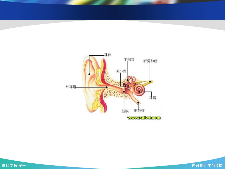 声音的产生与传播泰日学校程平.ppt_第3页