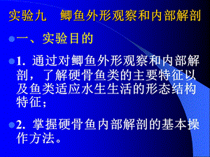 大学生物实验鲫鱼解剖.ppt