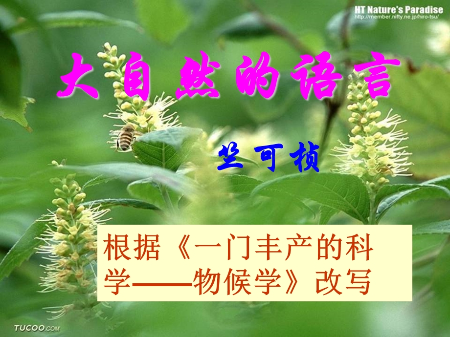 大自然语言-八年级上册语.ppt_第1页