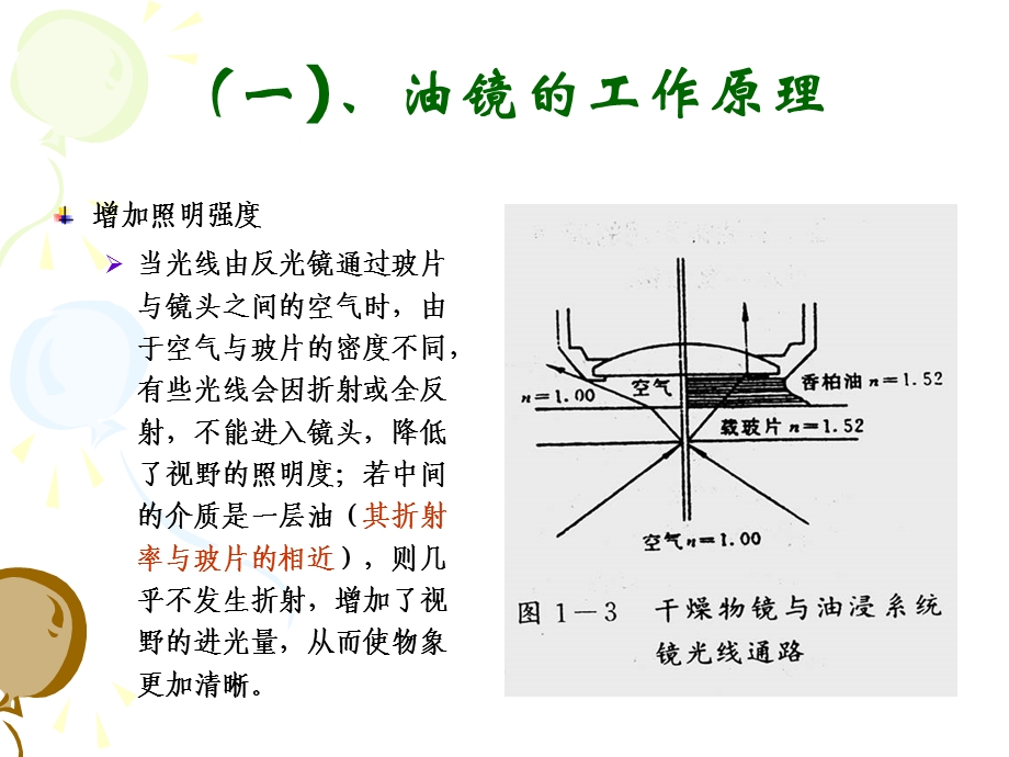 实验二油镜的使用、细菌的单染色及革兰氏染色.ppt_第2页