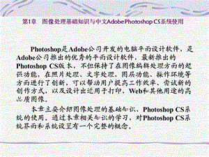 图像处理基础知识与中文AdobePhotoshopCS系统使用.ppt