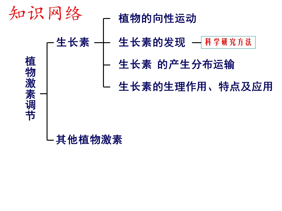 植物激素课件(成奎).ppt_第3页