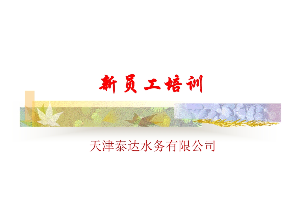 新进员工培训教材.ppt_第1页