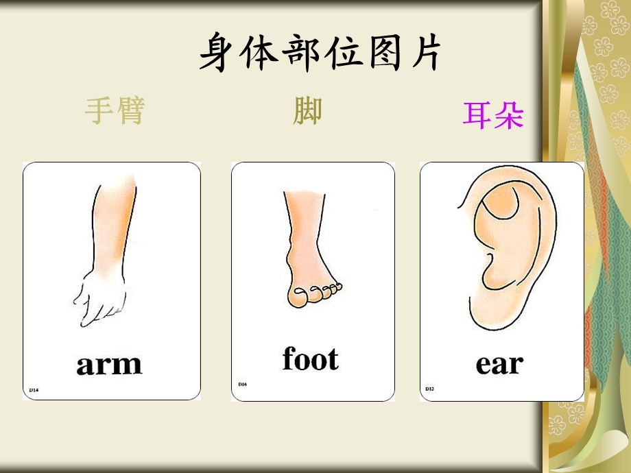 小学英语身体部位图片.ppt_第1页