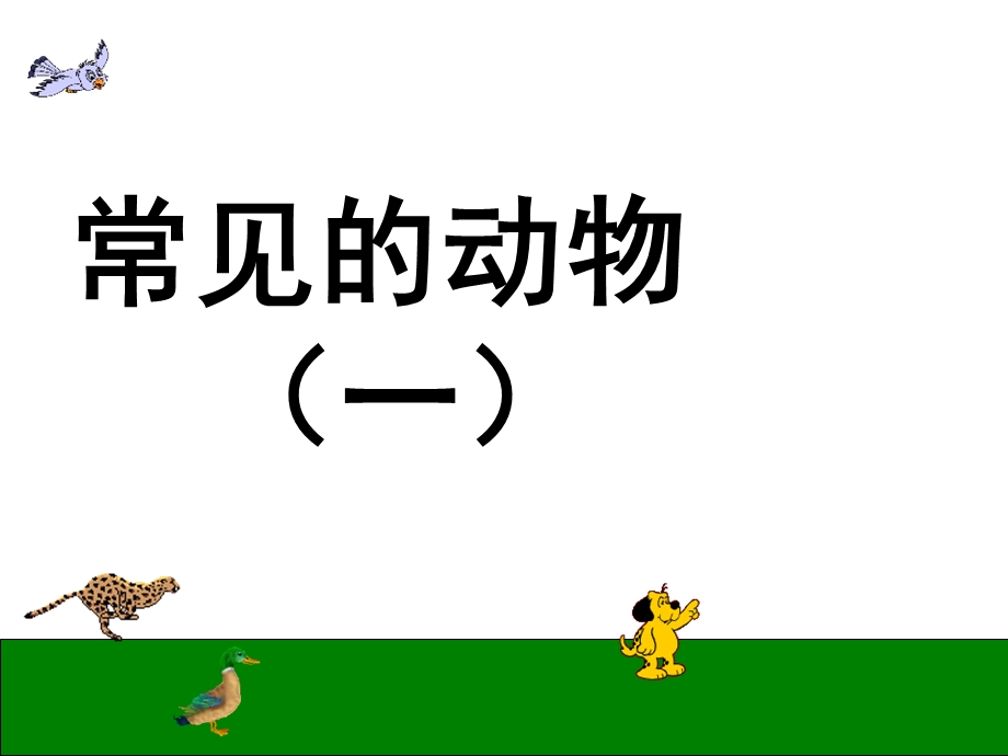 常见的动物(第一课时.ppt_第2页