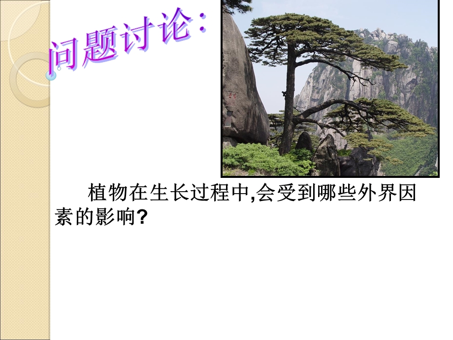 植物生命活动的调节(两课时).ppt_第2页