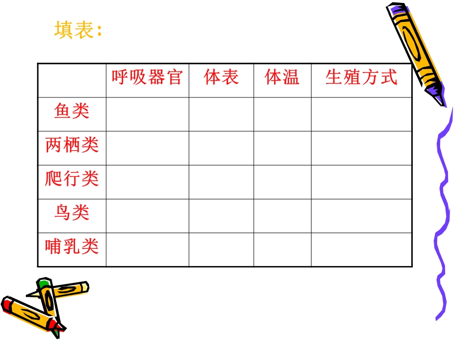 常见的动物(第3课时).ppt_第2页