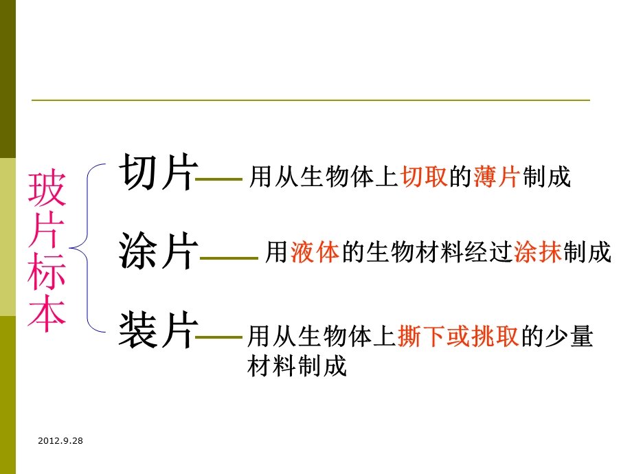 植物细胞和动物细胞.ppt_第2页