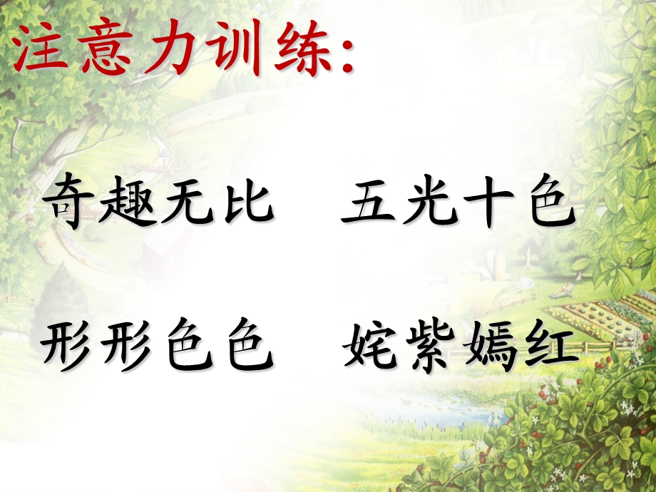 形形色色的植物.教学课件.ppt_第2页