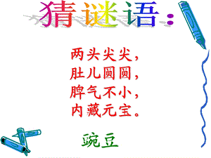 小学语文(S)三年级.上册《一颗小豌豆》.ppt