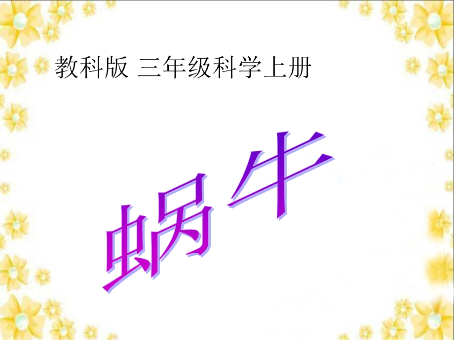 教科版三年级科学上册《蜗牛》.ppt_第2页