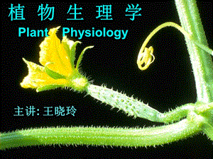 植物生理学课件讲义绪论.ppt