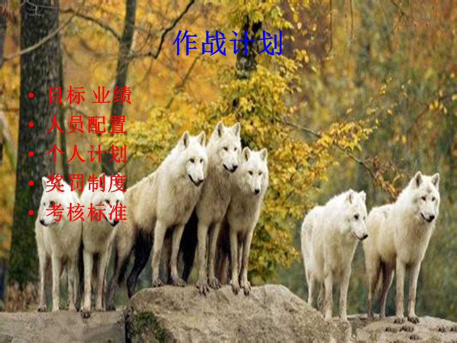 房地产业绩挑战书.ppt_第2页