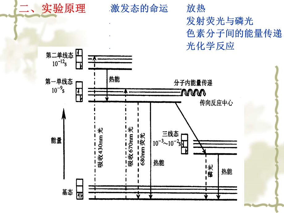 植物生理实验七电子传递实验Da.ppt_第2页