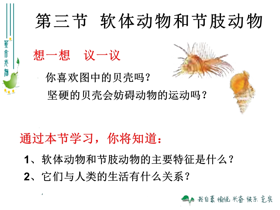 新人教版八年级上软体动物和节肢动物.ppt_第2页