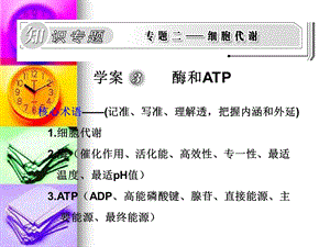 新课标2010高三生物二轮复习专题课件学案3《酶和ATP》.ppt