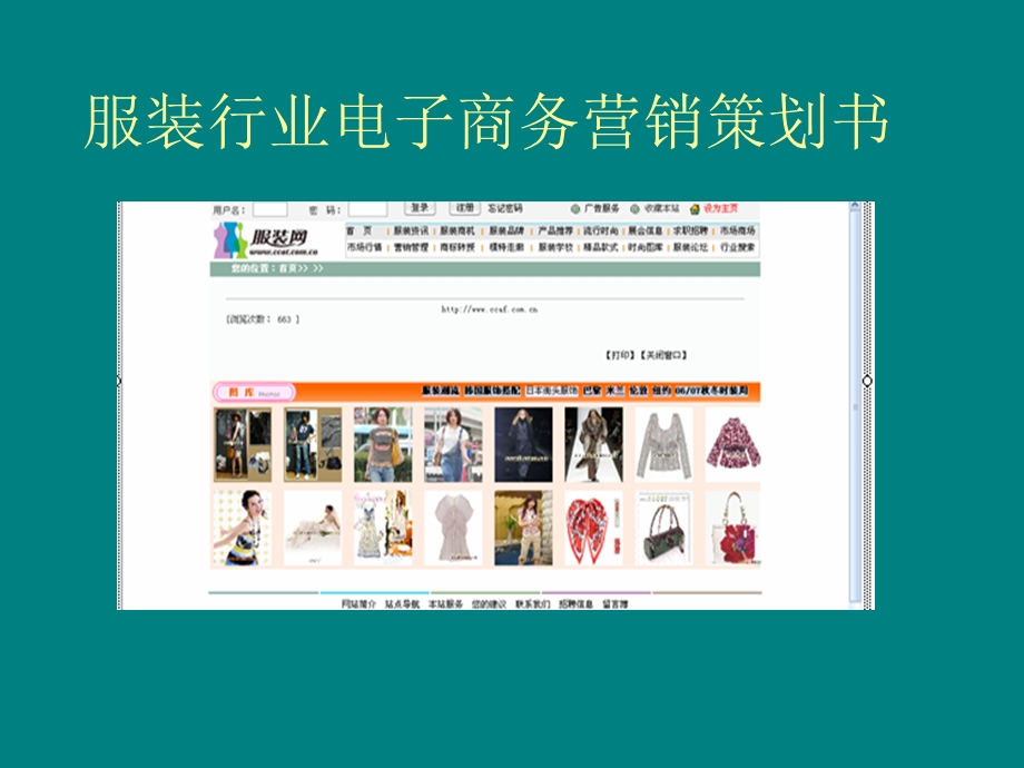 服装行业电子商务营销策划书(ppt ).ppt_第1页