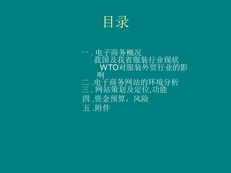 服装行业电子商务营销策划书(ppt ).ppt_第2页